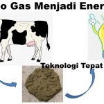 Biogas-1